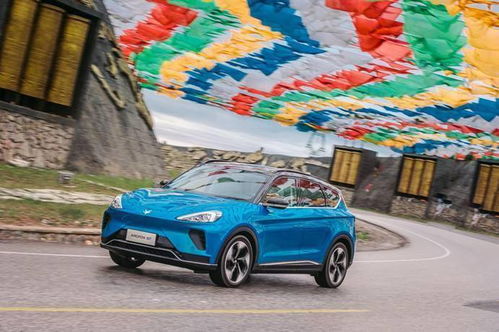 有多少日本牌汽车(探究日本汽车品牌的丰富多样性，有多少日本牌汽车？