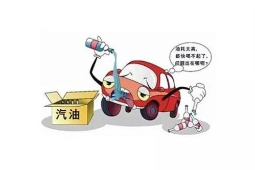 汽车油耗多少看哪里(汽车油耗多少看哪里，解析汽车油耗及其影响因素)