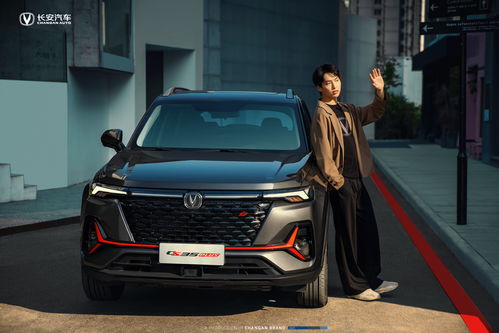 乐山汽车首付多少合适(乐山汽车首付多少合适，深度解析汽车首付比例与购车决策)