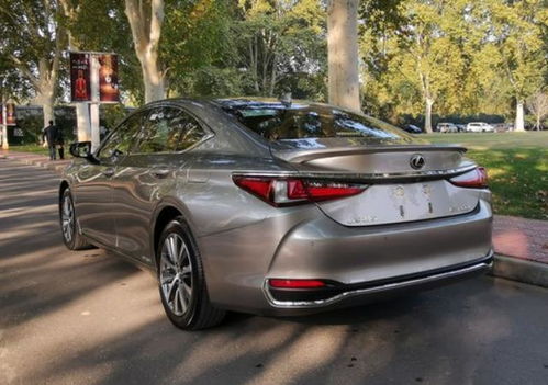 玉林汽车真实油耗多少(玉林汽车真实油耗多少，深入解析与综合评估)