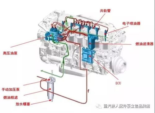 汽车油泵多少伏的(汽车油泵的电压及其相关知识解析)