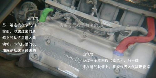 汽车油管多少根线(汽车油管与线路系统的深度解析，多少根线构成汽车油管电路？