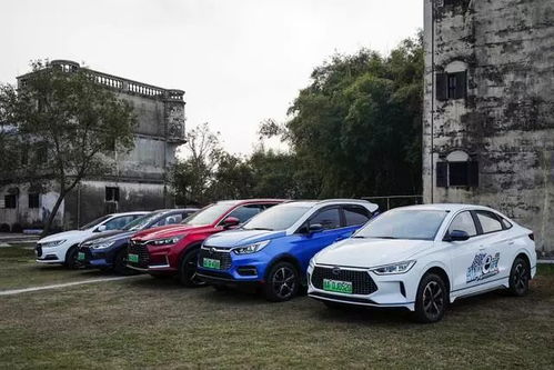 比亚迪汽车交货量多少(比亚迪汽车交货量的辉煌成就与挑战前景)