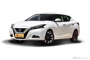 蓝鸟汽车整备质量多少(蓝鸟汽车整备质量研究，深度探讨其技术细节与性能表现)