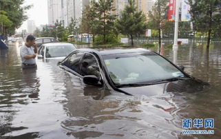 河南暴雨汽车伤亡多少(河南暴雨引发的汽车伤亡情况分析)