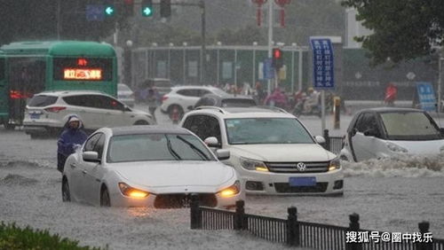 河南暴雨汽车伤亡多少(河南暴雨引发的汽车伤亡情况分析)