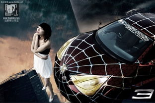 黑蜘蛛多少块钱汽车(黑蜘蛛与汽车，价格与价值的交汇点)