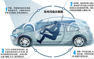 夏日汽车能有多少温度(夏日汽车内部温度究竟能有多少度？