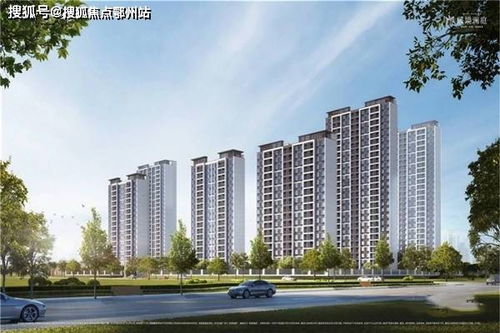 和田汽车编号多少位(和田汽车编号的位数解析)