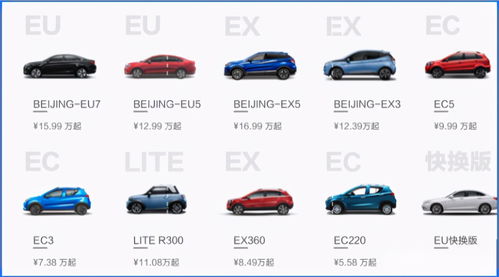 小米汽车锁定多少辆车(小米汽车锁定车辆数量的深度解析)