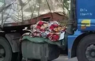 路霸汽车油耗多少正常(路霸汽车油耗多少正常？全面解析路霸汽车的油耗问题)