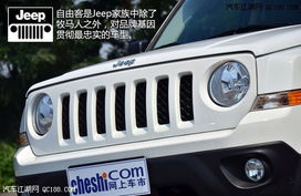 汽车油格代表多少(汽车油格代表的深层含义与实际应用解析)