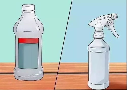 汽车瓶装酒能带多少(汽车瓶装酒携带数量规定与解析)