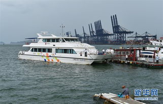 海南汽车渡船多少儿(海南汽车渡船与孩子们的出行体验)