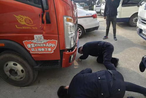 汽车多少速度致人死亡(汽车速度与致人死亡，深度探讨背后的真相)