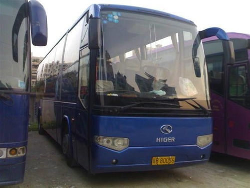 纳雍汽车多少钱(纳雍汽车价格解析，多少钱？