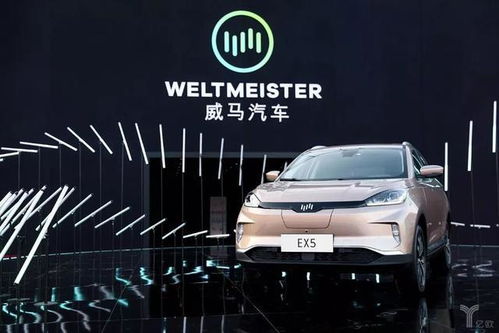 汽车最少交多少保险(汽车最少交多少保险，深度解析汽车保险的种类与选择)