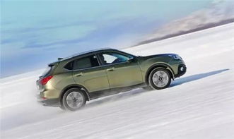 你认识多少种汽车(汽车世界，探索各种车型的魅力与特点—你认识多少种汽车？