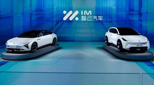 20万汽车租金多少(关于汽车租金多少—以一辆价值约20万汽车的租赁费用为例)