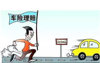 汽车强制险能退多少(汽车强制险退费解析，能退多少？