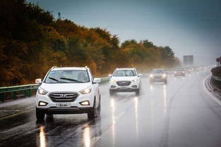 北京多少家庭有汽车(北京多少家庭拥有汽车，现状分析与未来展望)