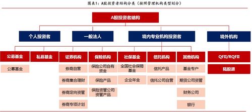汽车占本人资产多少(汽车占本人资产的比例分析)