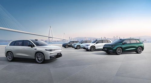 汽车青春版落地多少(汽车青春版落地价格深度解析)