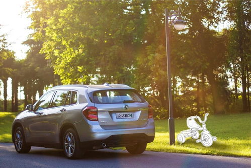 汽车单车保险多少划算(汽车单车保险多少划算？全面解读汽车保险费用)