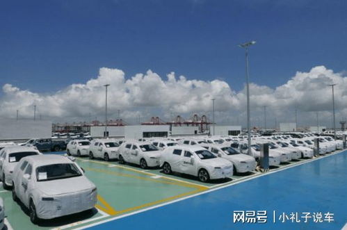 以色列汽车有多少座(以色列的汽车座位数量概览，多样性与变化中的数字)