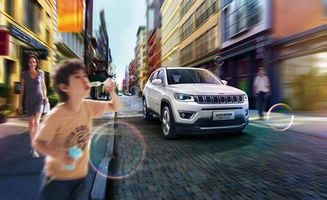 理想汽车耗油多少升(理想汽车耗油量与未来绿色出行的探讨)