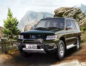 猎豹汽车贬值多少亿(猎豹汽车贬值深度解析，数字背后的故事)