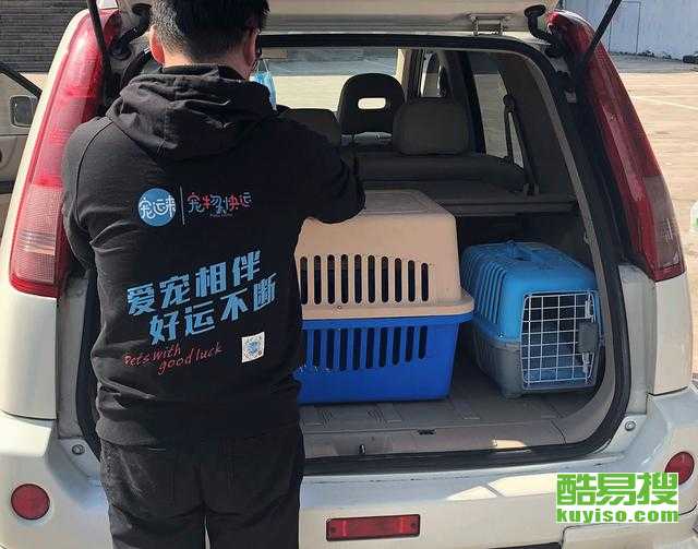 宠物托运汽车收费多少(宠物托运汽车收费多少，全面解读宠物托运汽车费用因素)