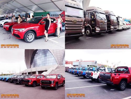 梅河口有多少汽车(梅河口汽车数量统计及其影响)