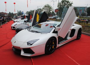 保时捷汽车快艇售价多少(保时捷汽车快艇售价揭秘，豪华与速度的结合)