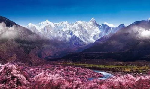 林芝汽车营地造价多少(林芝汽车营地造价详解，投资与建设的全方位考量)
