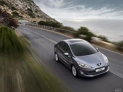 标致汽车事故率多少(标致汽车事故率分析)