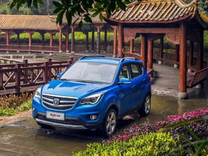 长安汽车绿色售价多少(长安汽车绿色售价解析)