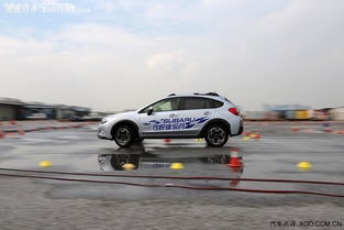 汽车喜欢多少速度行驶(汽车喜欢多少速度行驶，探索速度与驾驶乐趣的平衡点)