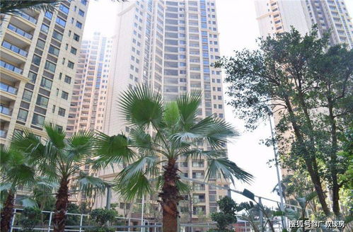 中美市场汽车均价多少(中美市场汽车均价分析)