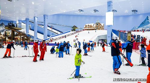 汽车悬架厚度多少(汽车悬架厚度多少，深度解析与影响因素探讨)