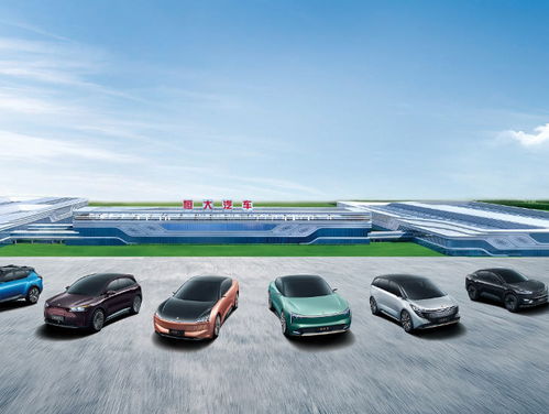 庞大汽车股票市值多少(庞大汽车股票市值究竟多少？