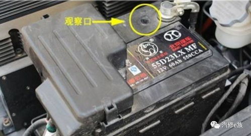 汽车赛道电瓶多少伏(汽车赛道上的电瓶电压，多少伏？