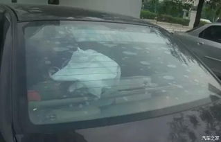 汽车太阳膜多少(汽车太阳膜多少，深度解析价格、类型与选择)