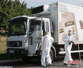 匈牙利有多少辆汽车(匈牙利汽车数量概览，探究车辆分布与变迁)