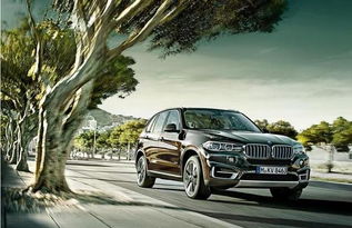 sony汽车多少钱(Sony汽车价格解析，多少钱才能拥有这款高科技座驾？