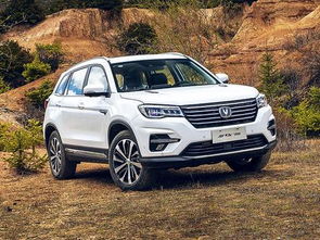 长安汽车能降价多少(长安汽车能降价多少，市场、策略与消费者期待)