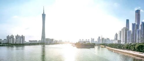 辽宁汽车多少钱(辽宁汽车价格概览，多少钱才是你的理想之选？