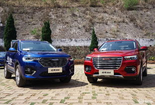 霸越汽车售价多少(霸越汽车售价多少，深度解析市场现状与未来趋势)