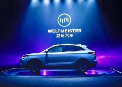 汽车普遍多少钱(汽车普遍多少钱—探究现代汽车价格因素)