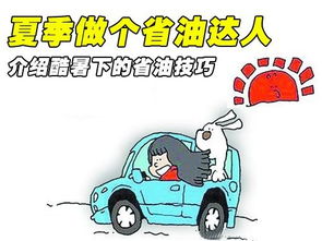 汽车省油省不了多少(汽车省油省不了多少，真相解析与深度探讨)